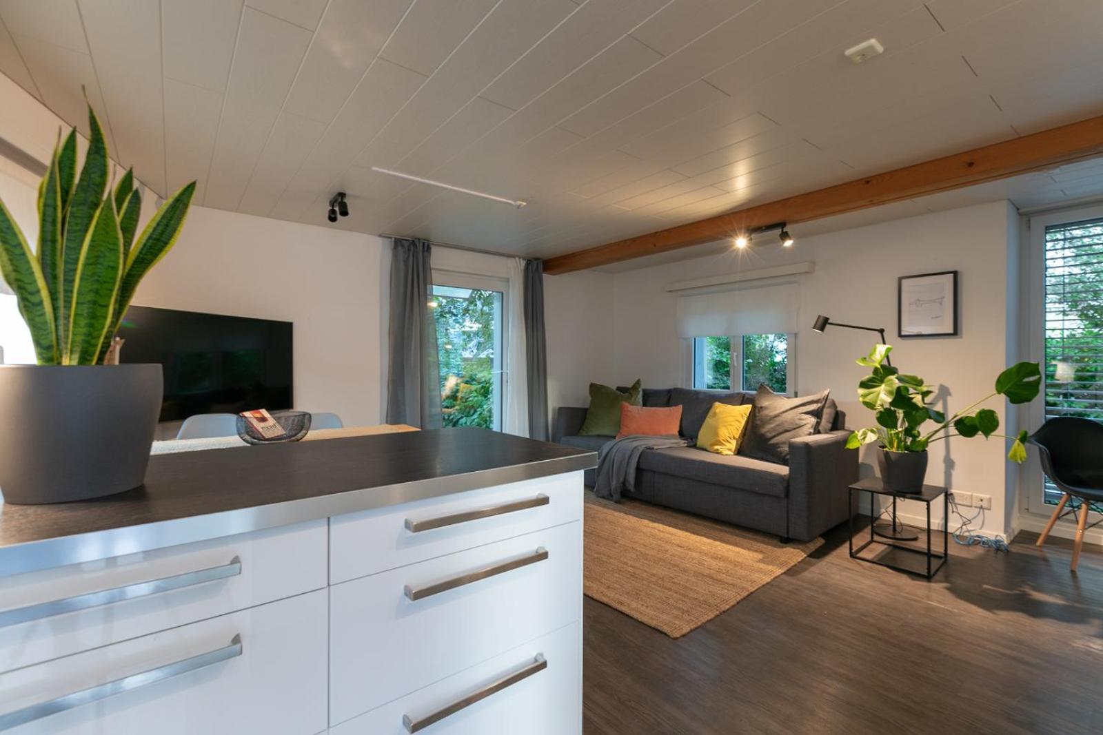 Inn Joy Apartments - Sankt Gallen West Екстериор снимка